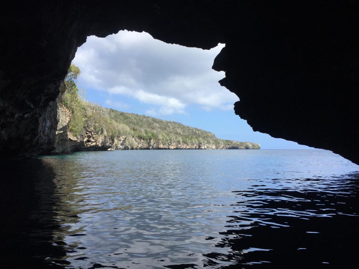 Island Time Guest Room フライング・フィッシュ・コーブ エクステリア 写真